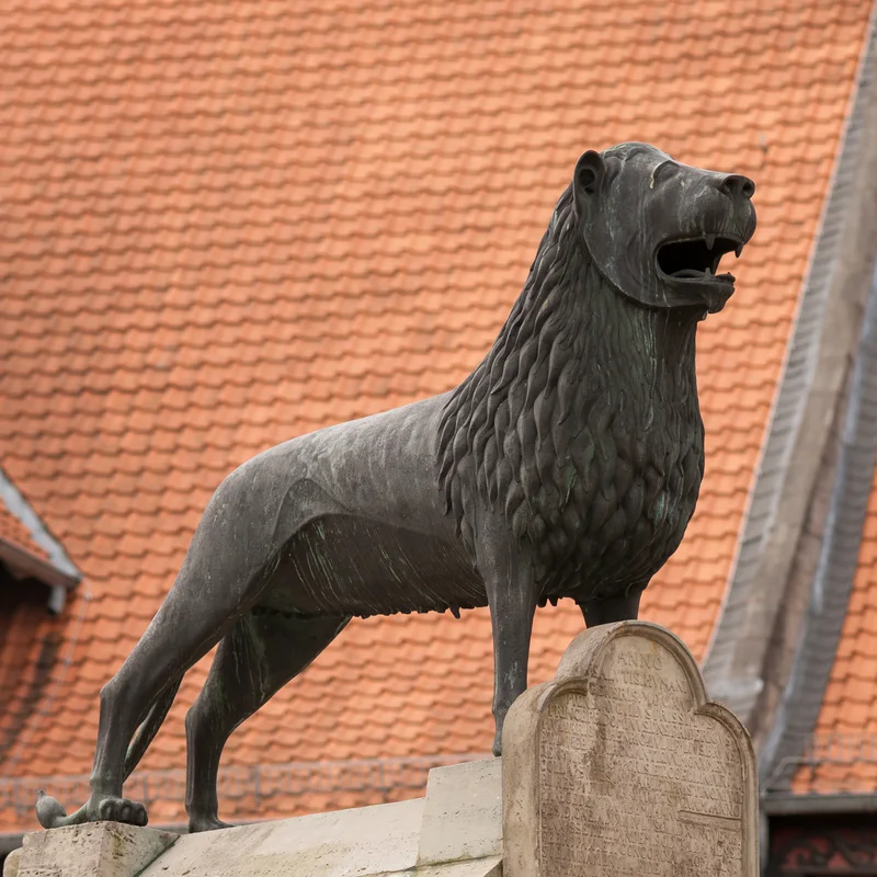 20180225_BraunschweigerLoewe_DSC08433_PtrQs